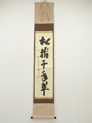 前大徳　藤井誡堂筆　「松樹千年翠」一行書　肉筆紙本掛軸（共箱）